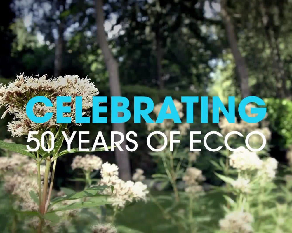 Ecco Shoes Commercial